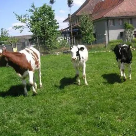 Appartement Stoeckli By Interhome