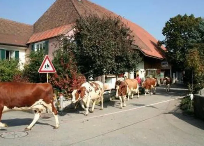 Stoeckli By Interhome *