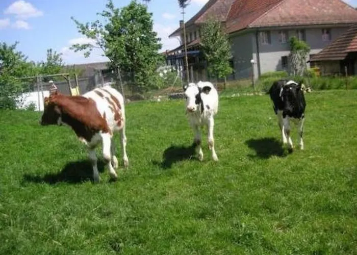 Appartement Stoeckli By Interhome