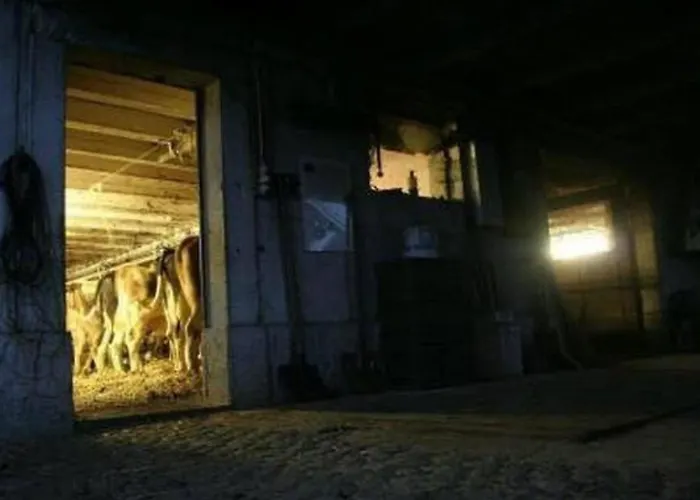 Stoeckli By Interhome Appartement Attiswil